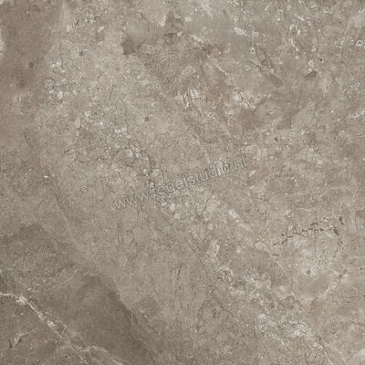  Ariostea Twin.s Dove 60x60 cm Vloertegel / Wandtegel Mat Gestructureerd Naturale P6698R10 | 403260