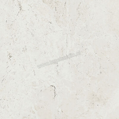  Ariostea Twin.s Plaster 60x60 cm Vloertegel / Wandtegel Mat Gestructureerd Soft P6697 | 403302