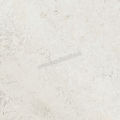  Ariostea Twin.s Plaster 60x60 cm Vloertegel / Wandtegel Mat Gestructureerd Soft P6697 | 403308
