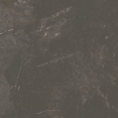  Ariostea Twin.s Licorice 60x60 cm Vloertegel / Wandtegel Mat Gestructureerd Soft P6696 | 403338