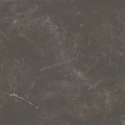  Ariostea Twin.s Licorice 60x60 cm Vloertegel / Wandtegel Mat Gestructureerd Soft P6696 | 403341