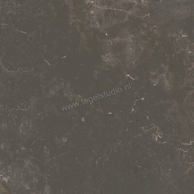  Ariostea Twin.s Licorice 60x60 cm Vloertegel / Wandtegel Mat Gestructureerd Soft P6696 | 403344
