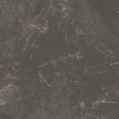  Ariostea Twin.s Licorice 60x60 cm Vloertegel / Wandtegel Mat Gestructureerd Soft P6696 | 403347