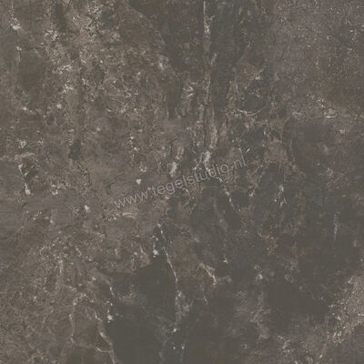 Ariostea Twin.s Licorice 60x60 cm Vloertegel / Wandtegel Mat Gestructureerd Soft P6696 | 403350