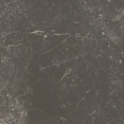  Ariostea Twin.s Licorice 60x60 cm Vloertegel / Wandtegel Mat Gestructureerd Soft P6696 | 403353