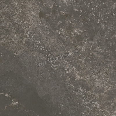  Ariostea Twin.s Licorice 60x60 cm Vloertegel / Wandtegel Mat Gestructureerd Soft P6696 | 403356