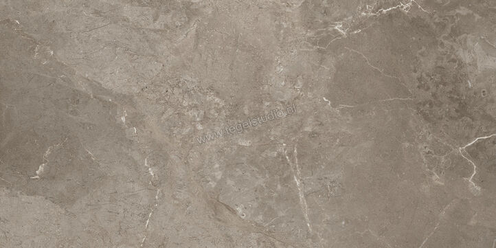  Ariostea Twin.s Dove 60x120 cm Vloertegel / Wandtegel Mat Gestructureerd Naturale P612698R10 | 403479