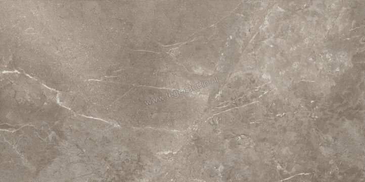  Ariostea Twin.s Dove 60x120 cm Vloertegel / Wandtegel Mat Gestructureerd Naturale P612698R10 | 403482