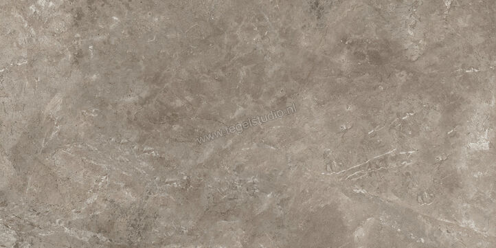  Ariostea Twin.s Dove 60x120 cm Vloertegel / Wandtegel Mat Gestructureerd Naturale P612698R10 | 403491