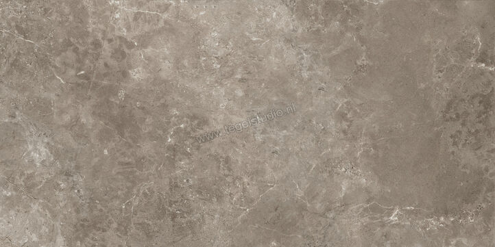  Ariostea Twin.s Dove 60x120 cm Vloertegel / Wandtegel Mat Gestructureerd Naturale P612698R10 | 403494