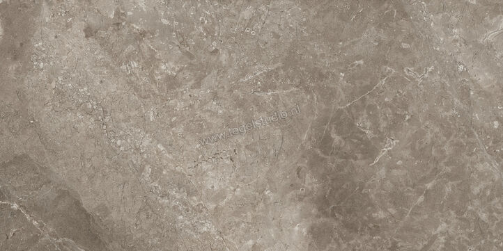  Ariostea Twin.s Dove 60x120 cm Vloertegel / Wandtegel Mat Gestructureerd Naturale P612698R10 | 403500