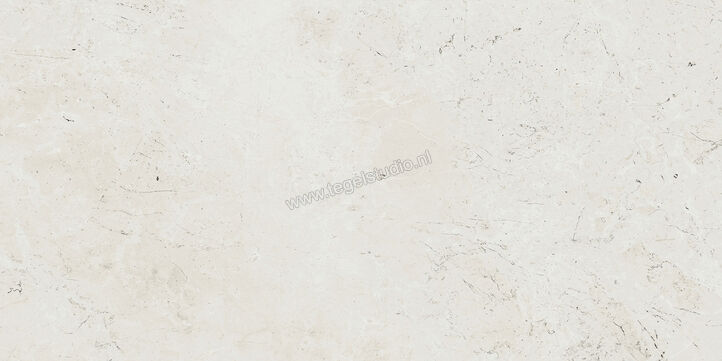  Ariostea Twin.s Plaster 60x120 cm Vloertegel / Wandtegel Mat Gestructureerd Soft P612697 | 403536