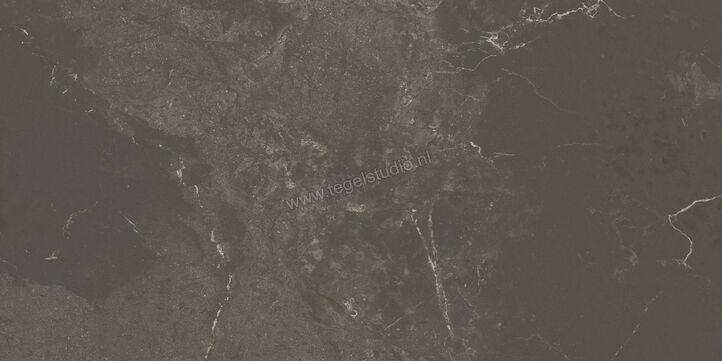  Ariostea Twin.s Licorice 60x120 cm Vloertegel / Wandtegel Mat Gestructureerd Soft P612696 | 403575