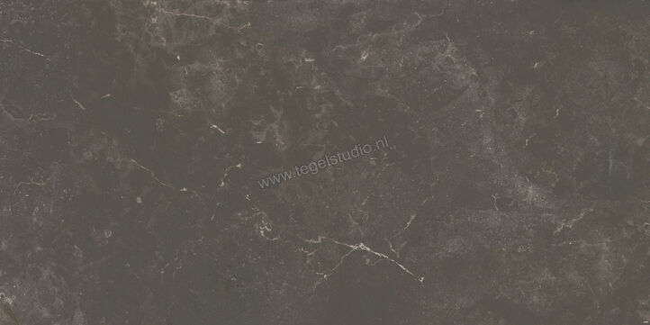  Ariostea Twin.s Licorice 60x120 cm Vloertegel / Wandtegel Mat Gestructureerd Soft P612696 | 403590