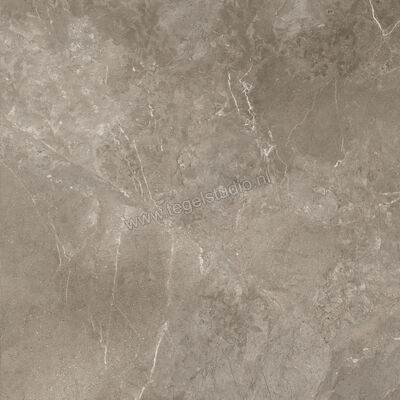  Ariostea Twin.s Dove 100x100 cm Vloertegel / Wandtegel Mat Gestructureerd Naturale P100698R10 | 403722