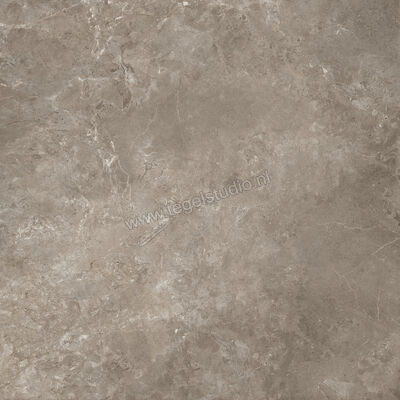  Ariostea Twin.s Dove 100x100 cm Vloertegel / Wandtegel Mat Gestructureerd Soft P100698 | 403725