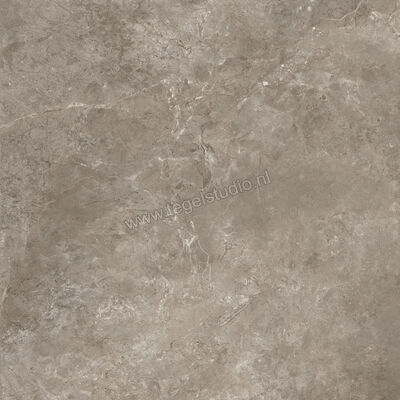  Ariostea Twin.s Dove 100x100 cm Vloertegel / Wandtegel Mat Gestructureerd Naturale P100698R10 | 403728