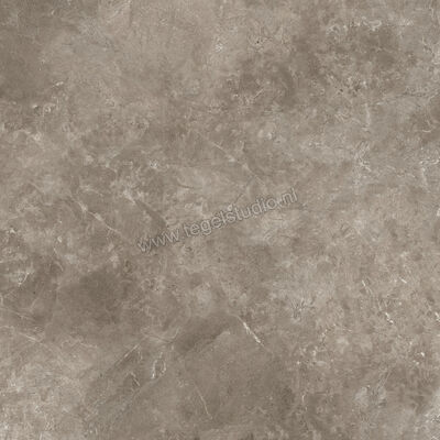  Ariostea Twin.s Dove 100x100 cm Vloertegel / Wandtegel Mat Gestructureerd Naturale P100698R10 | 403731