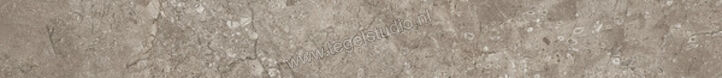  Ariostea Twin.s Dove 6.5x60 cm Plint Mat Gestructureerd Soft B60698T | 403887