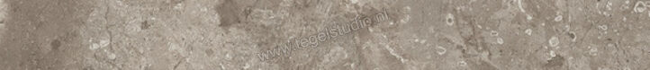  Ariostea Twin.s Dove 6.5x60 cm Plint Mat Gestructureerd Soft B60698T | 403893