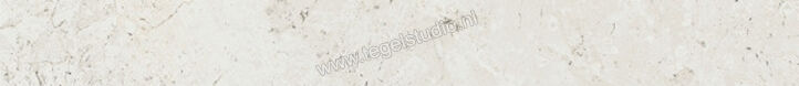 Ariostea Twin.s Plaster 6.5x60 cm Plint Mat Gestructureerd Soft B60697T | 403905