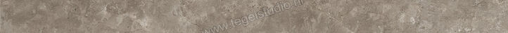  Ariostea Twin.s Dove 6.5x100 cm Plint Mat Gestructureerd Soft B100698T | 403986