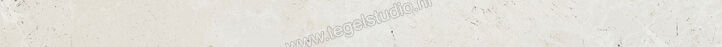  Ariostea Twin.s Plaster 6.5x100 cm Plint Mat Gestructureerd Soft B100697T | 403998