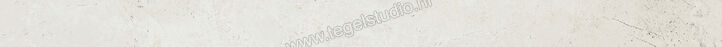  Ariostea Twin.s Plaster 6.5x100 cm Plint Mat Gestructureerd Soft B100697T | 404001