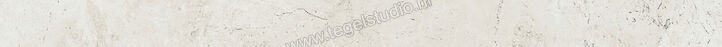  Ariostea Twin.s Plaster 6.5x100 cm Plint Mat Gestructureerd Soft B100697T | 404013