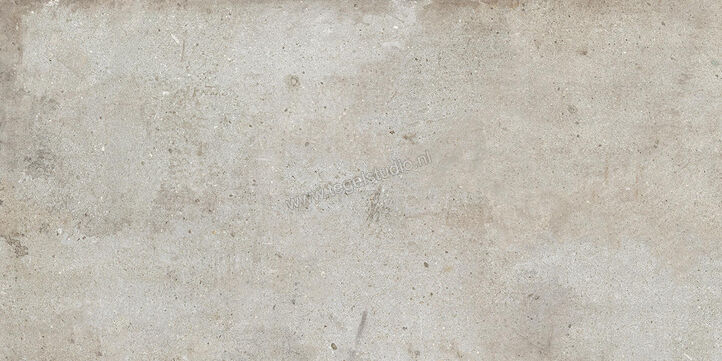  Ariostea Teknostone CM2 Outdoor Light Grey 60x120x2 cm Terrastegel Mat Gestructureerd Antislip PMS612503 | 404133