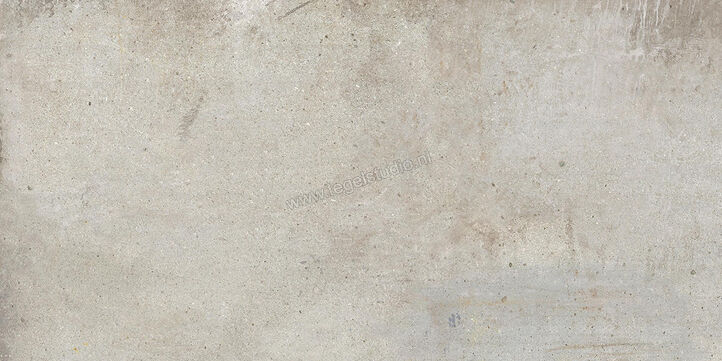  Ariostea Teknostone CM2 Outdoor Light Grey 60x120x2 cm Terrastegel Mat Gestructureerd Antislip PMS612503 | 404136