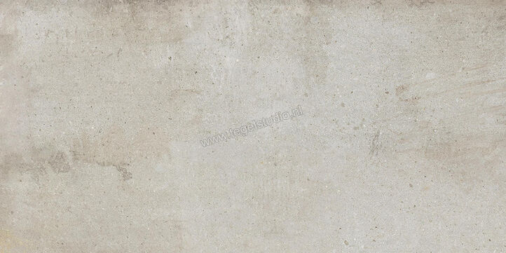  Ariostea Teknostone CM2 Outdoor Light Grey 60x120x2 cm Terrastegel Mat Gestructureerd Antislip PMS612503 | 404142