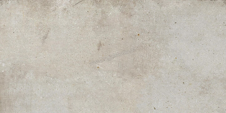  Ariostea Teknostone CM2 Outdoor Light Grey 60x120x2 cm Terrastegel Mat Gestructureerd Antislip PMS612503 | 404148