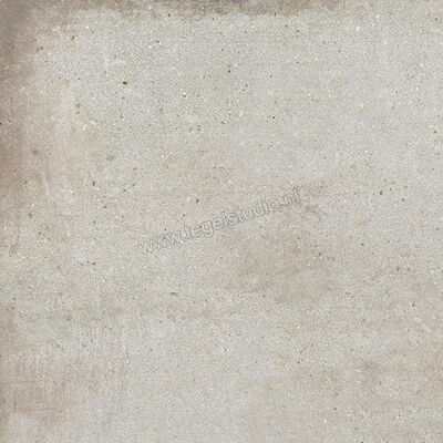  Ariostea Teknostone CM2 Outdoor Light Grey 60x60x2 cm Terrastegel Mat Gestructureerd Antislip PMS60503 | 404178