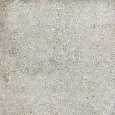  Ariostea Teknostone CM2 Outdoor Light Grey 60x60x2 cm Terrastegel Mat Gestructureerd Antislip PMS60503 | 404181