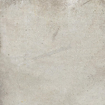  Ariostea Teknostone CM2 Outdoor Light Grey 60x60x2 cm Terrastegel Mat Gestructureerd Antislip PMS60503 | 404184