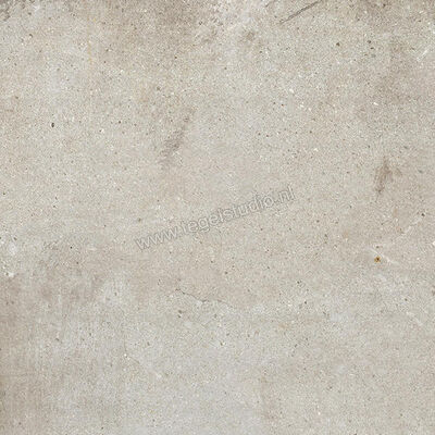  Ariostea Teknostone CM2 Outdoor Light Grey 60x60x2 cm Terrastegel Mat Gestructureerd Antislip PMS60503 | 404196