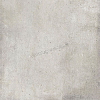  Ariostea Teknostone CM2 Outdoor Light Grey 100x100x2 cm Terrastegel Mat Gestructureerd Antislip PMS100503 | 404229