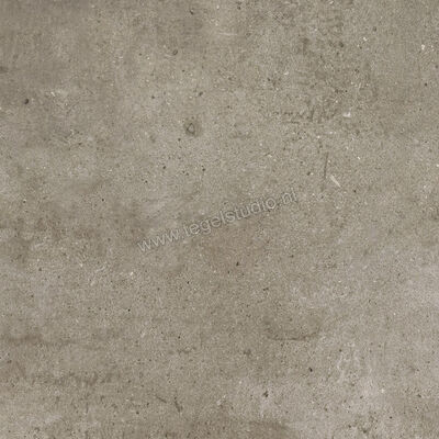  Ariostea Teknostone Taupe 60x60 cm Vloertegel / Wandtegel Mat Gestructureerd Natural Plus P6507 | 404382