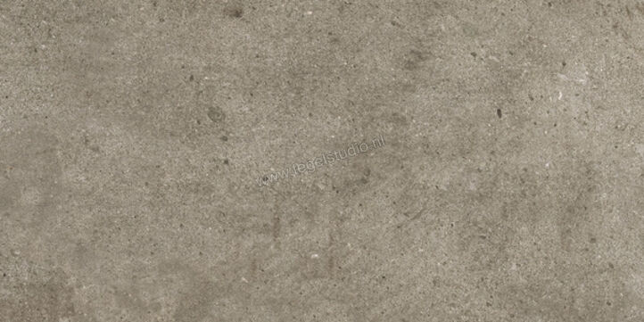  Ariostea Teknostone Taupe 30x60 cm Vloertegel / Wandtegel Mat Gestructureerd Natural Plus P360507 | 404640