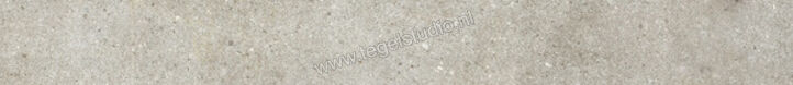  Ariostea Teknostone Light-Grey 6.5x60 cm Plint Mat Gestructureerd Natural Plus B60503T | 404823