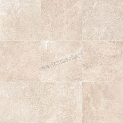  Topcollection Beauvistone Beige 60x60x2 cm Terrastegel Mat Vlak BEAUVSTONE6020 | 405315