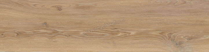  Villeroy & Boch Wood Selection Limed Oak 30x120 cm Vloertegel / Wandtegel (Excellence) Mat Gestructureerd VilbostonePlus 2781 WL20 0 | 405450