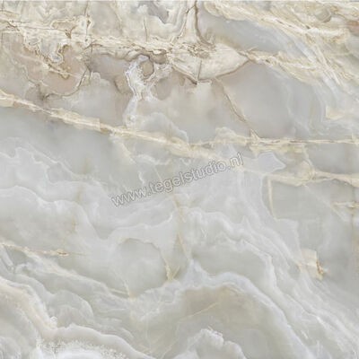  La Fabbrica Ava Onice Iride Argento 120x120 cm Vloertegel / Wandtegel Glanzend Vlak Lappato 173036 | 405945