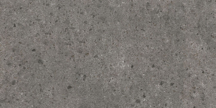  Villeroy & Boch Aberdeen Slate grey 60x120 cm Vloertegel / Wandtegel Mat Gestructureerd Vilbostoneplus 2987 SB90 0 | 406158
