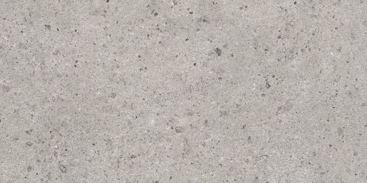  Villeroy & Boch Aberdeen Opal grey 60x120 cm Vloertegel / Wandtegel Mat Gestructureerd Vilbostoneplus 2987 SB60 0 | 406161