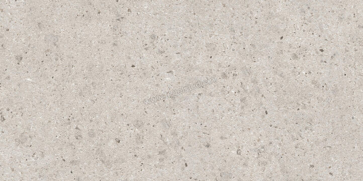  Villeroy & Boch Aberdeen Pearl 60x120 cm Vloertegel / Wandtegel Mat Gestructureerd Vilbostoneplus 2987 SB10 0 | 406164
