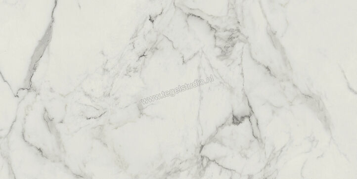  Villeroy & Boch Marble Arch Magic white 60x120 cm Wandtegel Glanzend Vlak VilboStone 2730 MA0P 0 | 406239