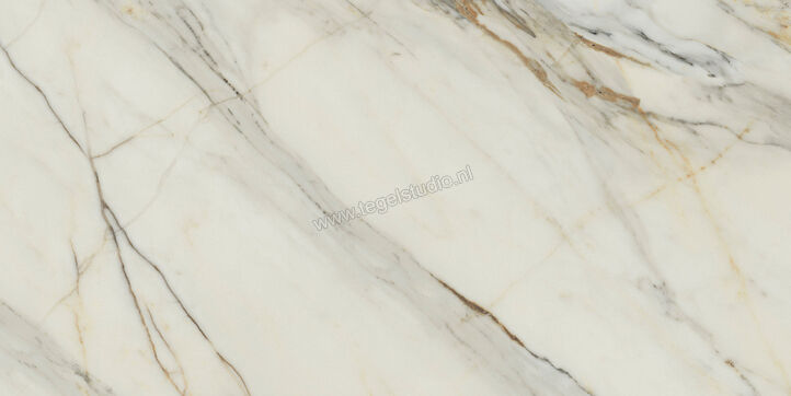  Villeroy & Boch Marble Arch Arctic gold 60x120 cm Wandtegel Glanzend Vlak VilboStone 2730 MA2P 0 | 406245
