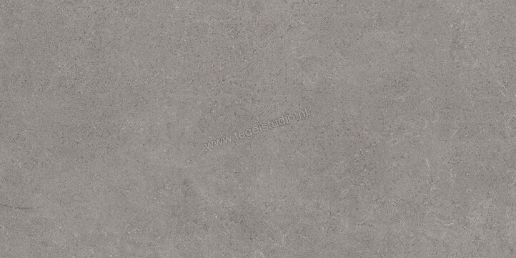 Villeroy & Boch Back Home Stone Grey 30x60 cm Vloertegel / Wandtegel Mat Vlak 2085 BT60 0 | 40628
